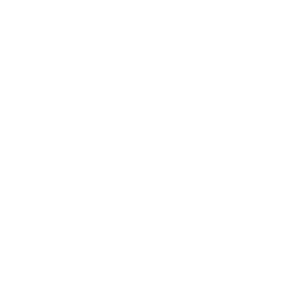 Coin Icon